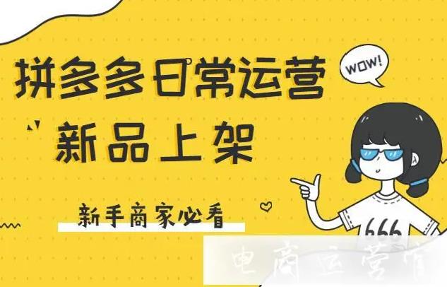 拼多多官方小二分享：新品投放指南